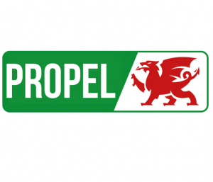 Zzzzz 1718145392propel — Political parties in the UK option 28