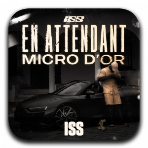 Zzzzz 177195924317 Iss — ALBUM RAP FR 2025 ! (900 projets) option 29