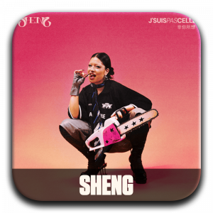 Zzzzz 177195943407 Sheng — ALBUM RAP FR 2025 ! (900 projets) option 96