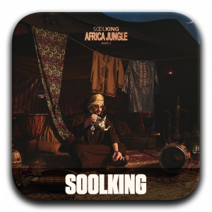Zzzzz 177195949521 Soolking — ALBUM RAP FR 2025 ! (900 projets) option 148