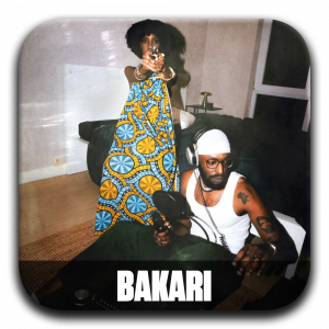 Zzzzz 177195967030 Bakari — ALBUM RAP FR 2025 ! (900 projets) option 313