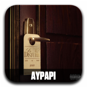 Zzzzz 177195972909 Aypapi — ALBUM RAP FR 2025 ! (900 projets) option 325