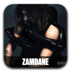 Zzzzz 177195975923 Zamdane — ALBUM RAP FR 2025 ! (900 projets) option 385