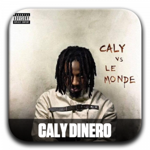 Zzzzz 177195977724 Caly — ALBUM RAP FR 2025 ! (900 projets) option 386