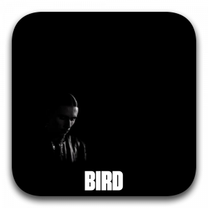Zzzzz 177195981503 Bird — ALBUM RAP FR 2025 ! (900 projets) option 408