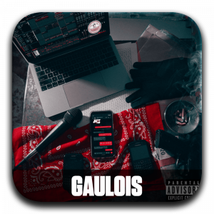 Zzzzz 177195981813 Gaulois — ALBUM RAP FR 2025 ! (900 projets) option 439