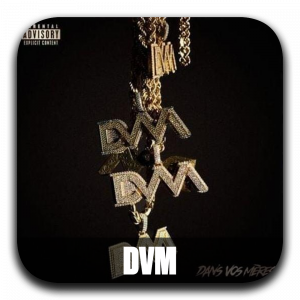 Zzzzz 177195984420 Dvm — ALBUM RAP FR 2025 ! (900 projets) option 459