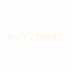 Zzzzz 1771960210mois De Novembre — ALBUM RAP FR 2025 ! (900 projets) option 746