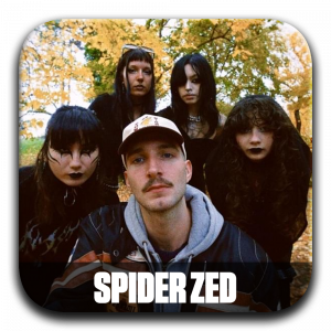 Zzzzz 177196026014 Spider — ALBUM RAP FR 2025 ! (900 projets) option 785