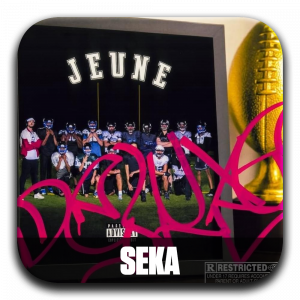 Zzzzz 177196033112 Seka — ALBUM RAP FR 2025 ! (900 projets) option 876