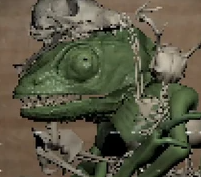 Chameleon — Endacopia Characters option 7