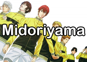 The Prince of Tennis Teams — option 10