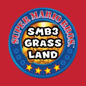 Zzzzz 1715742064smassmb3grassland — Super Mario Music option 124