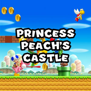 Zzzzz 1715745783nsmbwiiprincesspeachcastle — Super Mario Music option 431