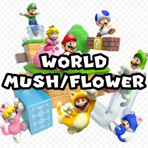 Zzzzz 1715783189sm3dwworldmushroomflower — Super Mario Music option 687