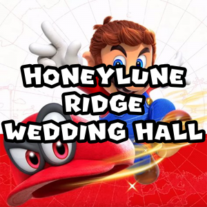 Zzzzz 1715784390smohoneyluneridgeweddinghall — Super Mario Music option 827