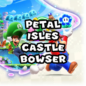 Zzzzz 1715786975smbw Petalislescastlebowser — Super Mario Music option 1067