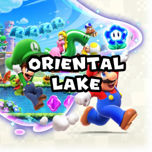 Zzzzz 1715786977smbw Orientallaketheme — Super Mario Music option 1046