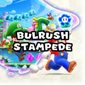 Zzzzz 1715786982smbw Bulrushstampedewondereffect — Super Mario Music option 1007