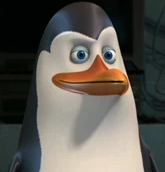 Zzzzz 174028151190 Kowalski — Nicktoons Heroes and Protagonists Ranking option 314