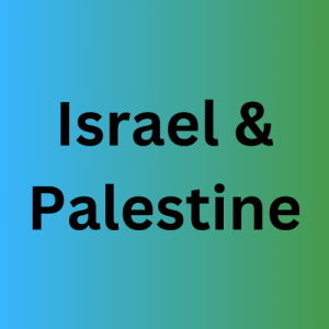 Zzzzz 174003280524 — Political Stances option 22