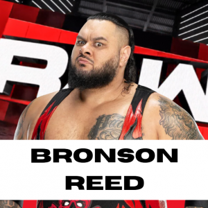 Rawbronson — WWE/AEW Active Roster + TNA/AAA Extras - 06.2025 option 9