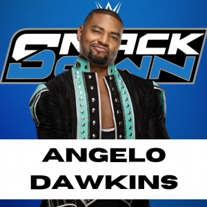Sdangelo — WWE/AEW Active Roster + TNA/AAA Extras - 06.2025 option 62