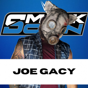 Zzzzz 1750361255sdjoe — WWE/AEW Active Roster + TNA/AAA Extras - 06.2025 option 81