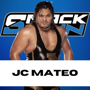 Zzzzz 1750361256sdmateo — WWE/AEW Active Roster + TNA/AAA Extras - 06.2025 option 85