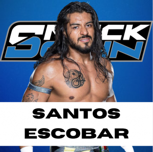 Zzzzz 1750361257sdsantos — WWE/AEW Active Roster + TNA/AAA Extras - 06.2025 option 105