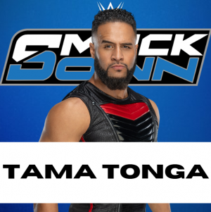 Zzzzz 1750361258sdtama — WWE/AEW Active Roster + TNA/AAA Extras - 06.2025 option 108