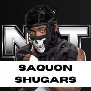 Zzzzz 1750361293znxtsshu — WWE/AEW Active Roster + TNA/AAA Extras - 06.2025 option 172