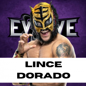 Zzzzz 1750361300zzlin — WWE/AEW Active Roster + TNA/AAA Extras - 06.2025 option 249
