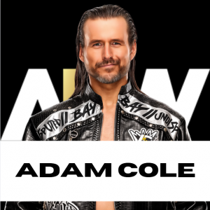 Zzzzz 1750361348aewadam — WWE/AEW Active Roster + TNA/AAA Extras - 06.2025 option 259