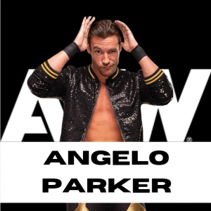 Zzzzz 1750361348aewangelo — WWE/AEW Active Roster + TNA/AAA Extras - 06.2025 option 264
