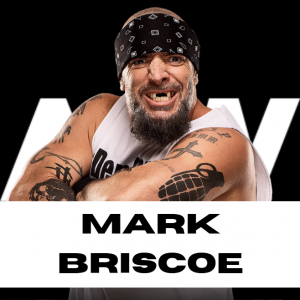 Zzzzz 1750361349aewbriscoe — WWE/AEW Active Roster + TNA/AAA Extras - 06.2025 option 276
