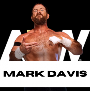 Zzzzz 1750361350aewdavis — WWE/AEW Active Roster + TNA/AAA Extras - 06.2025 option 295