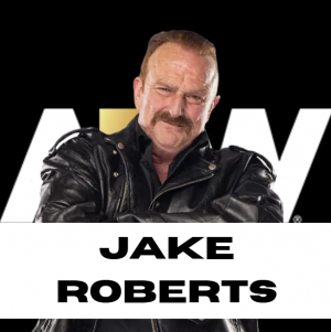 Zzzzz 1750361353aewjake — WWE/AEW Active Roster + TNA/AAA Extras - 06.2025 option 331