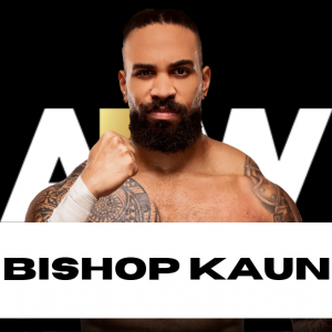 Zzzzz 1750361353aewkaun — WWE/AEW Active Roster + TNA/AAA Extras - 06.2025 option 343
