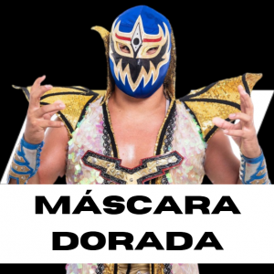 Zzzzz 1750361355aewmasca — WWE/AEW Active Roster + TNA/AAA Extras - 06.2025 option 365
