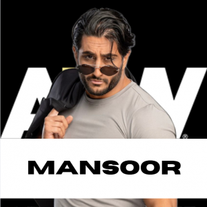 Zzzzz 1750361355aewmasnroo — WWE/AEW Active Roster + TNA/AAA Extras - 06.2025 option 366