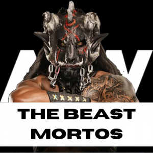 Zzzzz 1750361356aewmortos — WWE/AEW Active Roster + TNA/AAA Extras - 06.2025 option 376