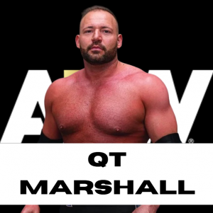 Zzzzz 1750361374aewqt — WWE/AEW Active Roster + TNA/AAA Extras - 06.2025 option 391