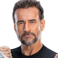 Zzzzz 1780061551cm Punk 2026 — WWE & AEW Roster 2026 option 193