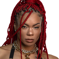 Zzzzz 1780061842b Fab 2025 — WWE & AEW Roster 2026 option 265