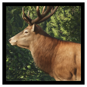 Zzzzz 1783434519reddeer — Planet Zoo 2 Animals option 96