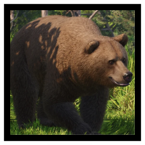 Zzzzz 1783434520eurasianbear — Planet Zoo 2 Animals option 40