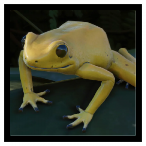 Zzzzz 1783434520goldenfrog 1 — Planet Zoo 2 Animals option 56