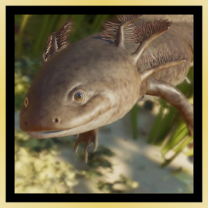 Zzzzz 1784037291axolot 1 — Planet Zoo 2 Animals option 131