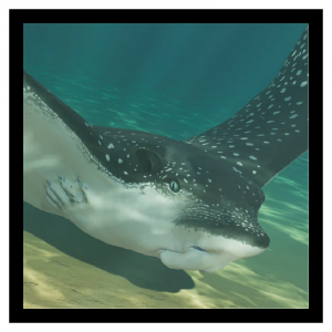 Zzzzz 1784639555spoteagle — Planet Zoo 2 Animals option 89